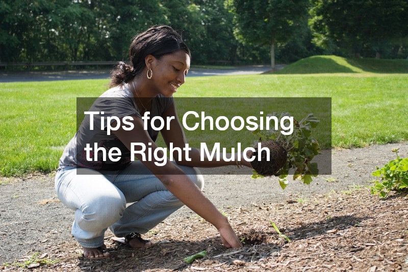 Tips for Choosing the Right Mulch
